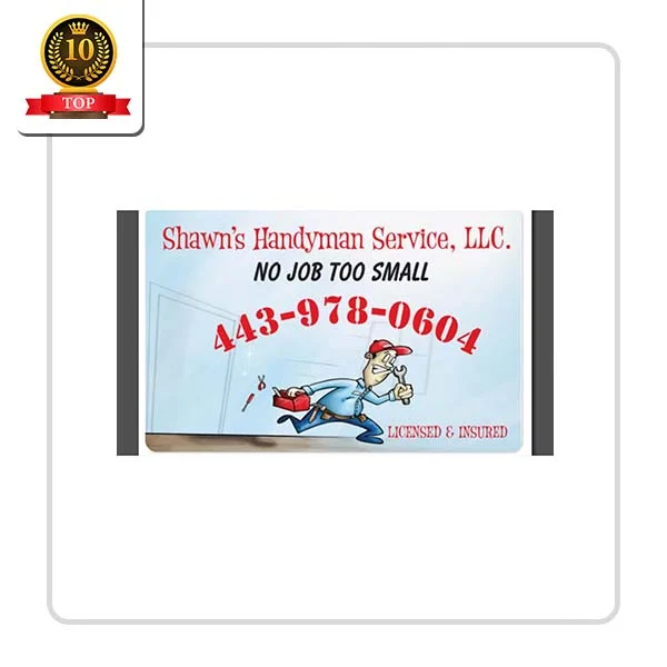 Shawn's Handyman Service, LLC.: Sink Fixture Setup in Kite