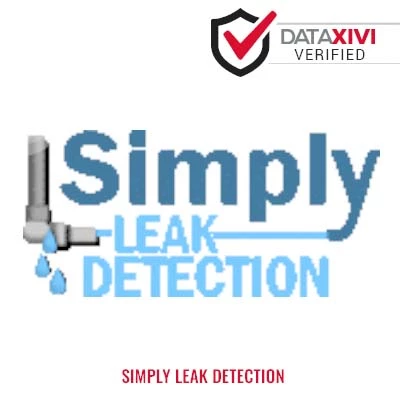 Simply Leak Detection - DataXiVi