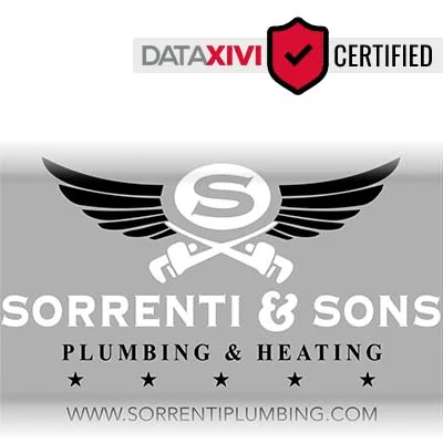 Sorrenti & Sons Plumbing & Heating L.L.C.: Hot Tub and Spa Repair Specialists in Lott