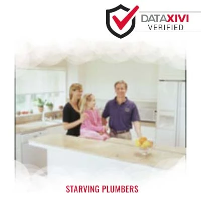 Starving Plumbers: Dishwasher Repair Specialists in Edison