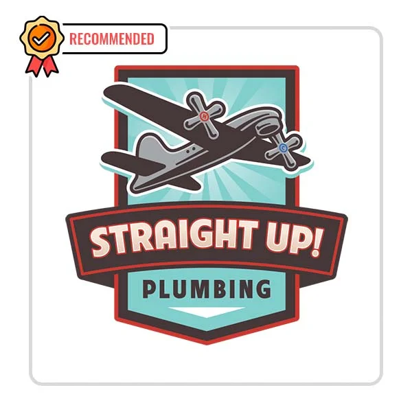 Straight Up! Plumbing: High-Efficiency Toilet Installation Services in Troy