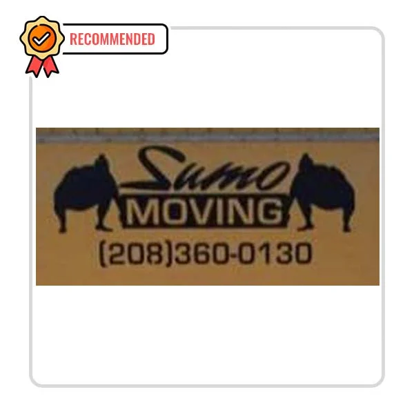 Sumo Moving: Fireplace Sweep Services in Telford