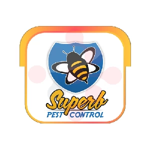 Superb Pest Control Plumber - DataXiVi
