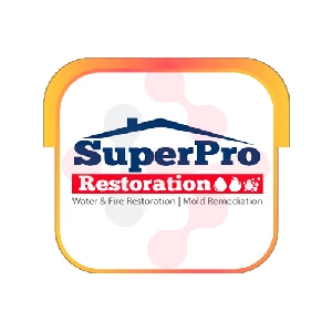 SuperPro Restoration: Drain and Pipeline Examination Services in Pisgah Forest