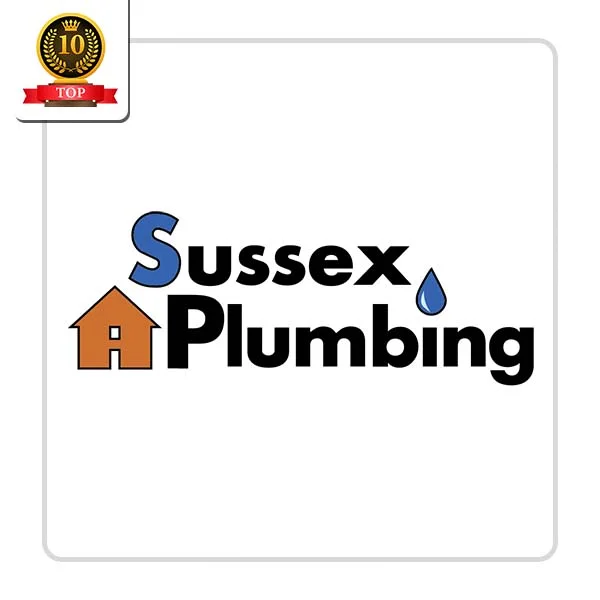 Sussex Plumbing LLC: Home Cleaning Assistance in Albion