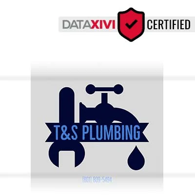 T&S Plumbing - DataXiVi