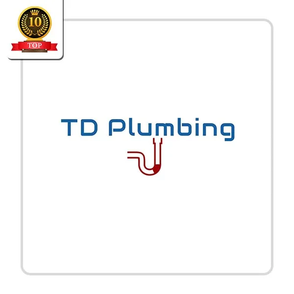 TD Services of South Florida Inc: Boiler Maintenance and Installation in Dickinson