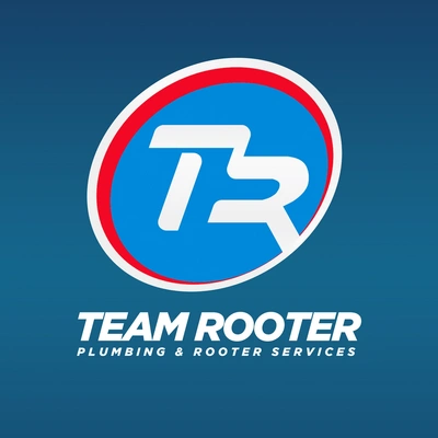 Team Rooter Plumbing of Ventura: Appliance Troubleshooting Services in Berry