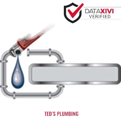 Ted's Plumbing Plumber - DataXiVi
