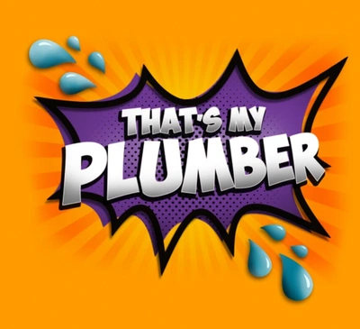 Thats My Plumber, LLC: Residential Cleaning Solutions in Viola