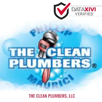 The Clean Plumbers, LLC: Sink Troubleshooting Services in Wagener