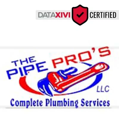 The Pipe Pro's: High-Efficiency Toilet Installation Services in Willard