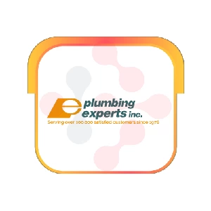 The Plumbing Experts, Inc.: Expert Video Camera Inspections in Gilman City