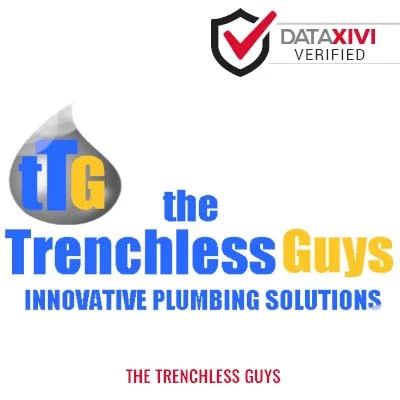 The Trenchless Guys - DataXiVi