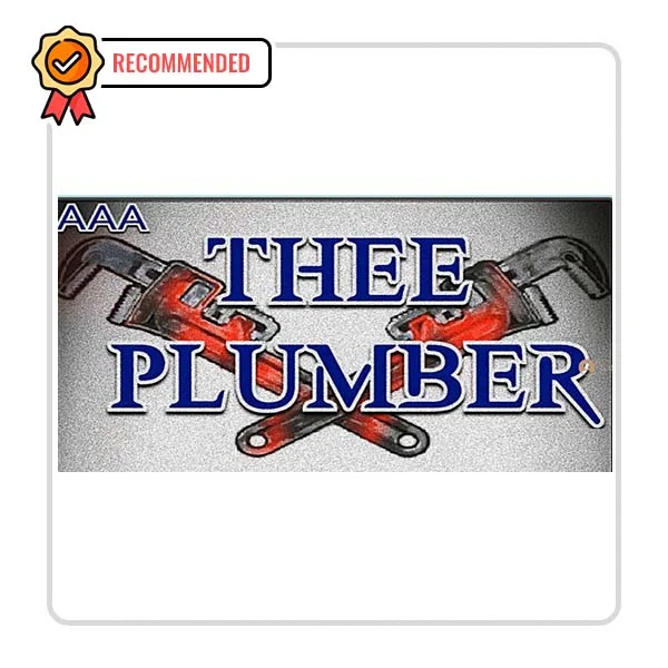 Thee Plumber: Sink Fixing Solutions in Solway