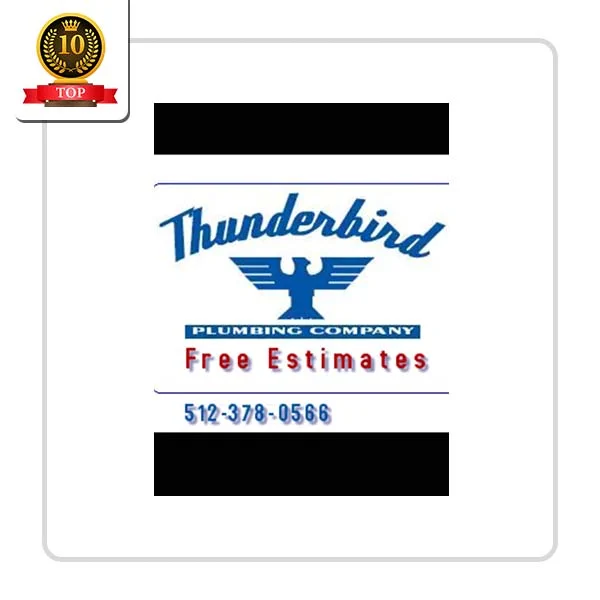 Thunderbird Plumbing Co: Gas Leak Detection Solutions in Homer