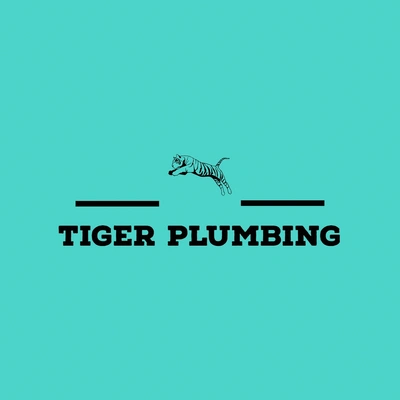 Tiger Plumbing: Sink Fixture Setup in Erwin