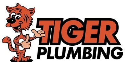 TIGER PLUMBING: Toilet Troubleshooting Services in Bath