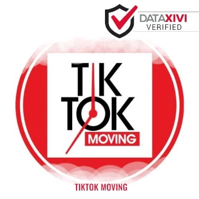 TikTok Moving Plumber - DataXiVi