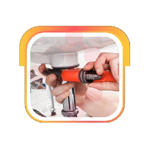 Toms Plumbing Repair: Expert Home Cleaning Services in Irondale
