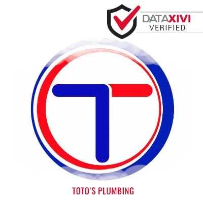 Toto's Plumbing: Drainage System Troubleshooting in South Webster