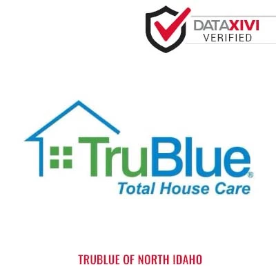 TruBlue of North Idaho: Sink Repair Specialists in Hayes
