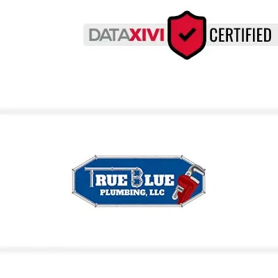True Blue Plumbing LLC Plumber - DataXiVi