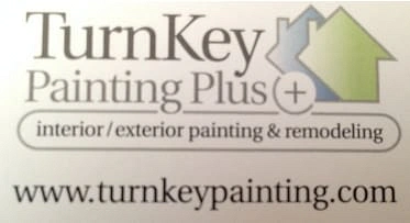 Turnkey Painting Plus - DataXiVi