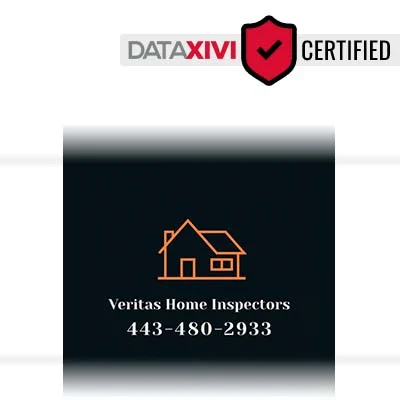 Veritas Home Inspectors: Sink Fixture Installation Solutions in Cygnet