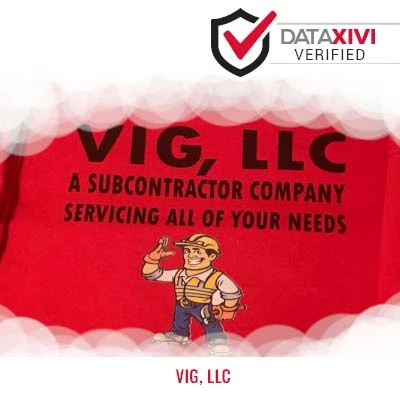 VIG, LLC - DataXiVi