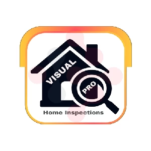 Visual Pro Home Inspections: Expert Dishwasher Repairs in Hinsdale