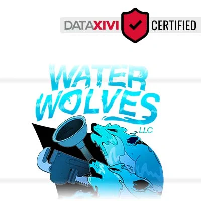 Water Wolves LLC - DataXiVi