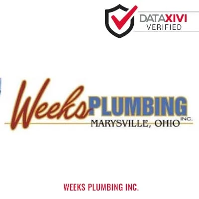 Weeks Plumbing Inc.: Hydro jetting for drains in Pink Hill