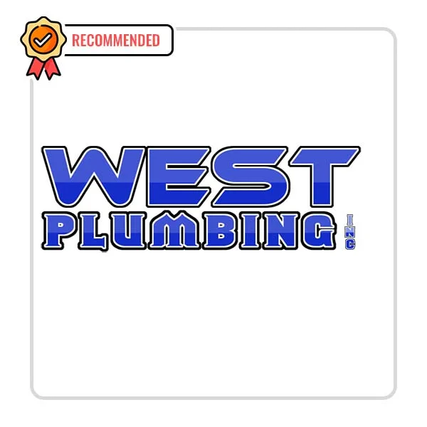 West Plumbing Inc: Chimney Cleaning Solutions in Bickmore