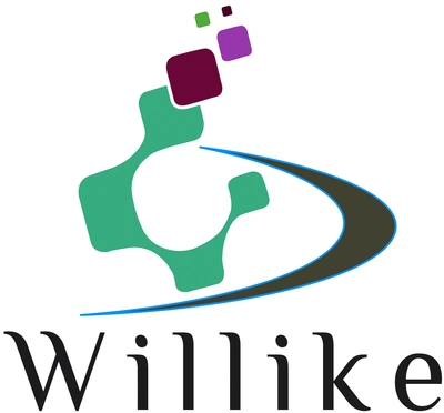 Willike Solutions, LLC - DataXiVi
