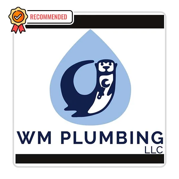 WM Plumbing, LLC: Kitchen/Bathroom Fixture Installation Solutions in Ewen