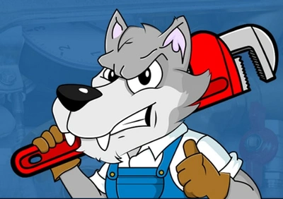 Wolf Plumbing LLC: Appliance Troubleshooting Services in Hunter