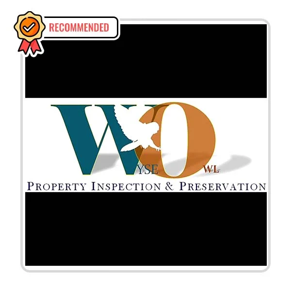 WyseOwl Property Inspection and Preservation: Home Cleaning Assistance in Culebra
