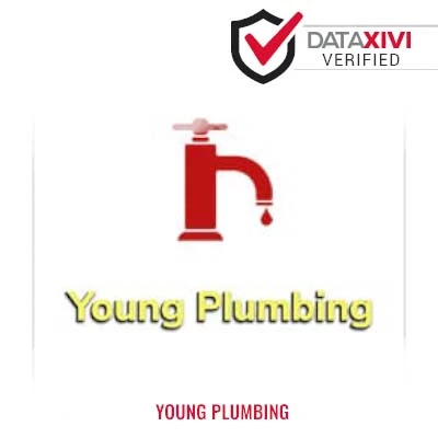 Young Plumbing Plumber - DataXiVi