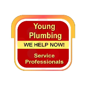 Young Plumbing Corp: Pool Cleaning Services in New Holland