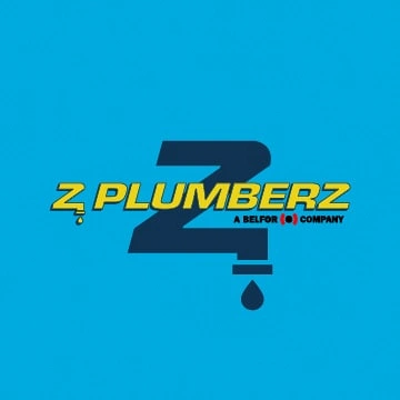 Z PLUMBERZ North America: Expert Chimney Repairs in Zap